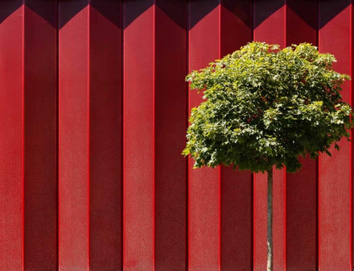 „Alles nur Fassade“ | Regine Richter | Rathaus Amerang